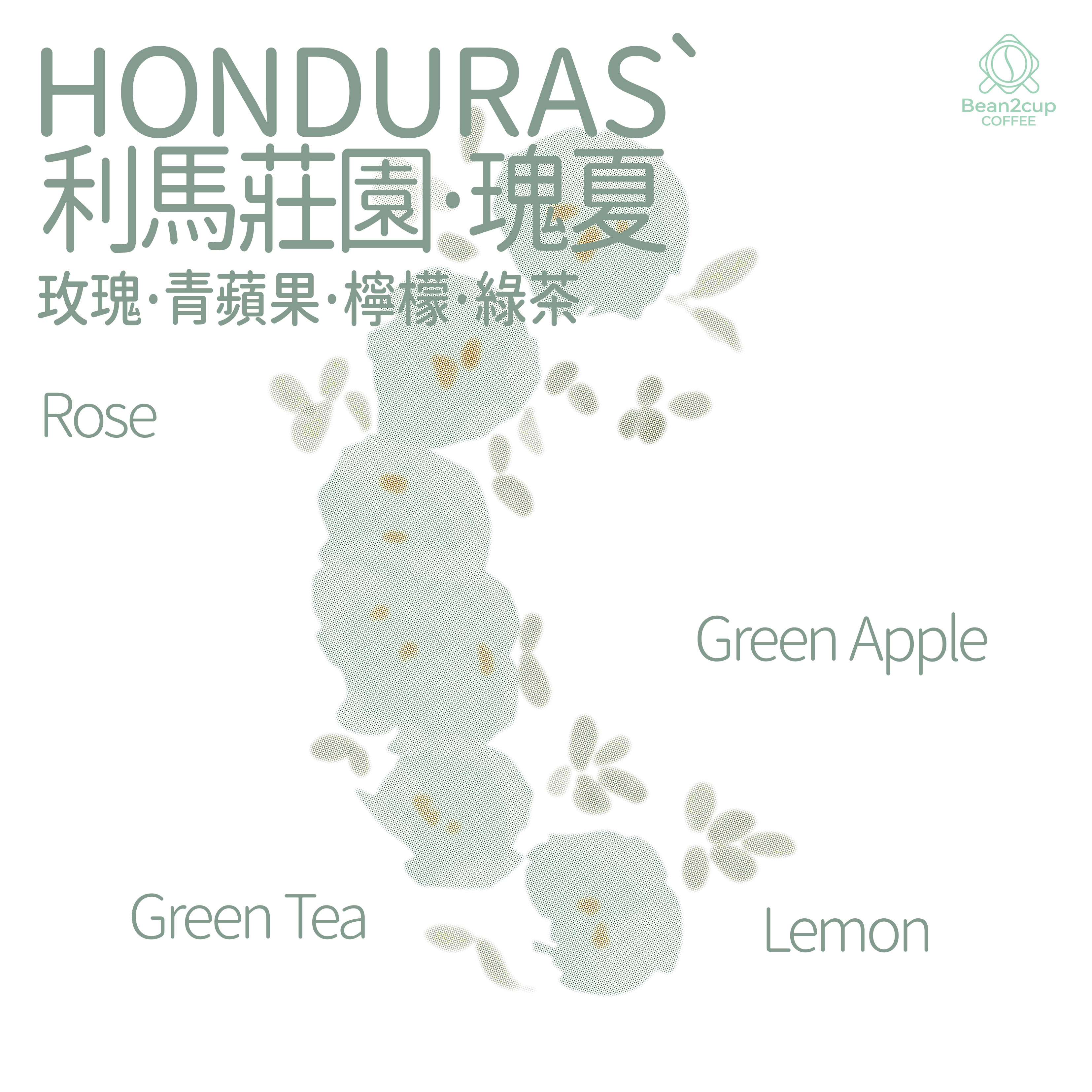 洪都拉斯 利⻢庄园 瑰夏 水洗处理 BEAN2CUP 单品咖啡豆